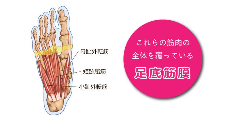 足裏の筋膜に作用する特殊設計